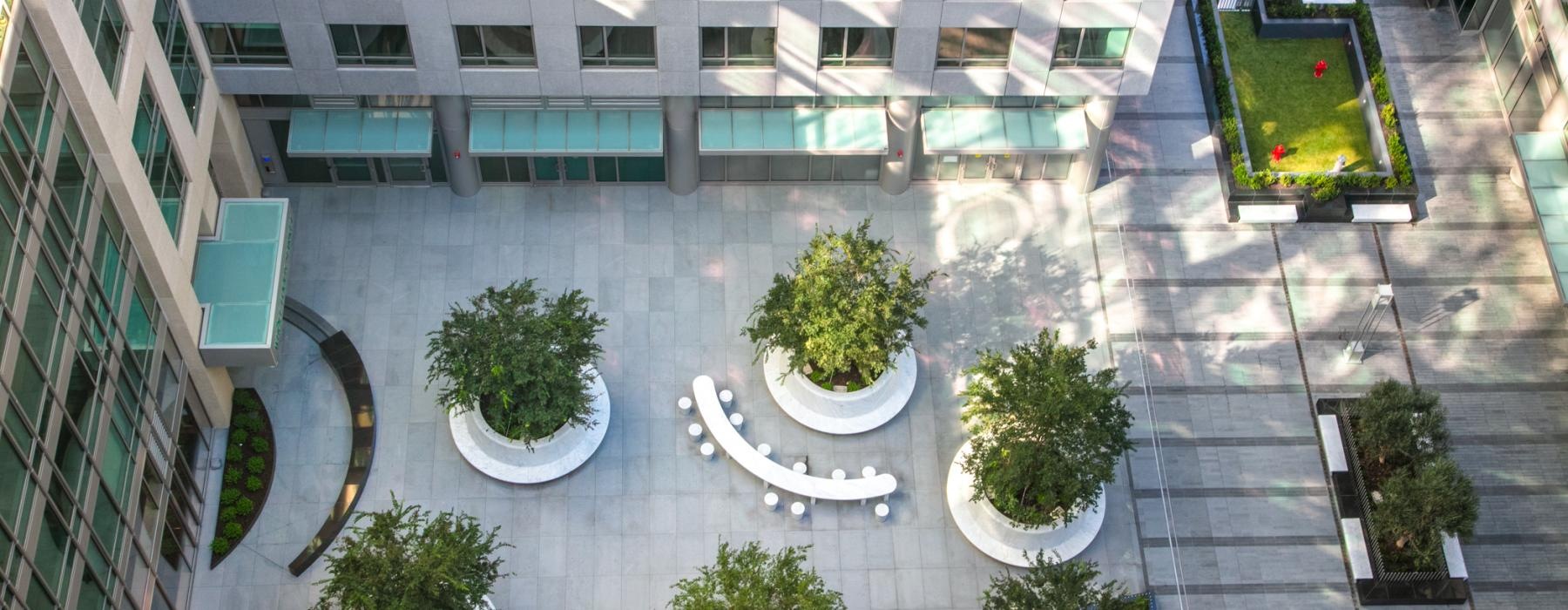 aerial of outside courtyard with lush landscaping